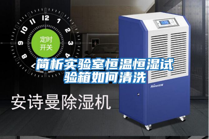 簡(jiǎn)析實(shí)驗室恒溫恒濕試驗箱如何清洗