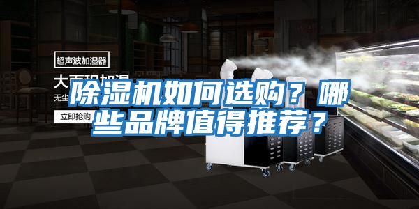 除濕機如何選購？哪些品牌值得推薦？
