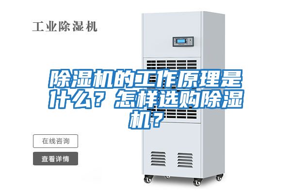 除濕機的工作原理是什么？怎樣選購除濕機？