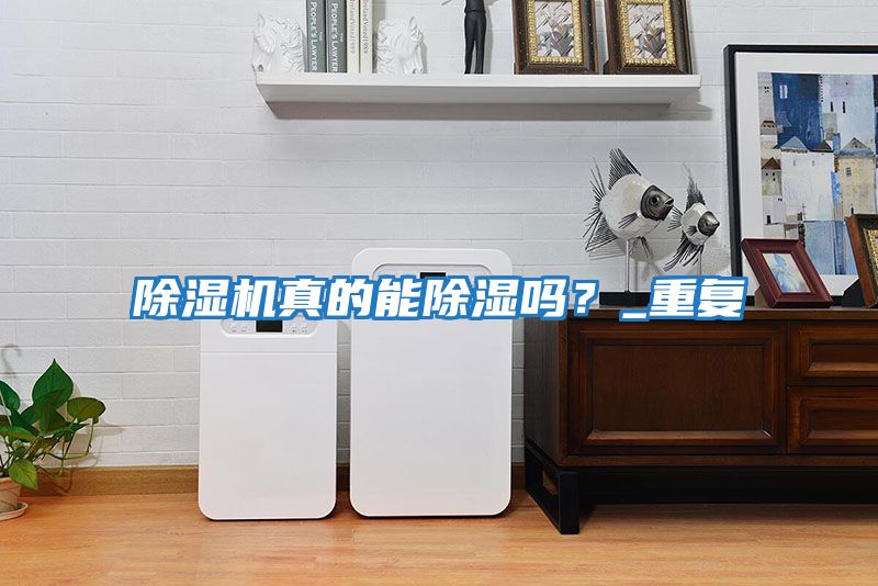 除濕機真的能除濕嗎？_重復
