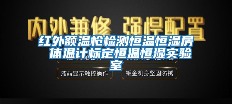 紅外額溫槍檢測恒溫恒濕房 體溫計標定恒溫恒濕實(shí)驗室
