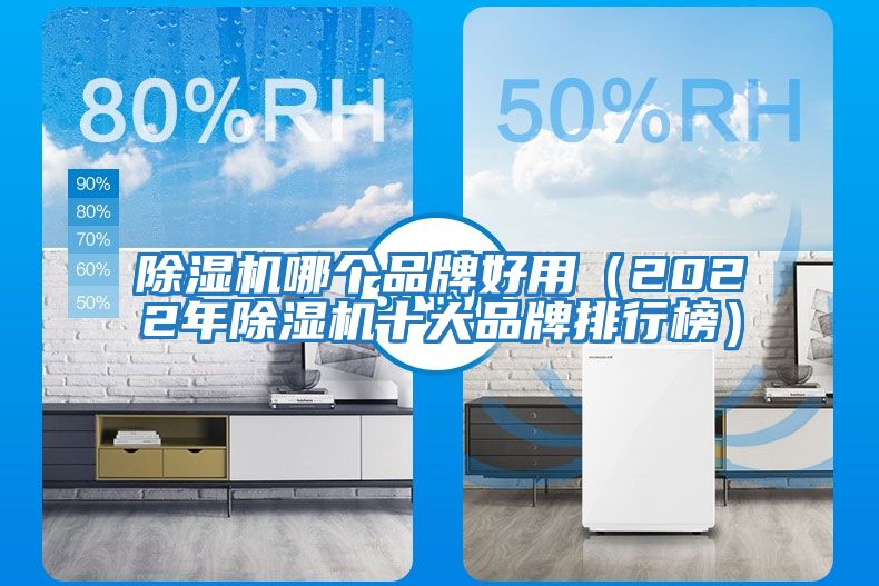 除濕機哪個(gè)品牌好用(2022年除濕機十大品牌排行榜)