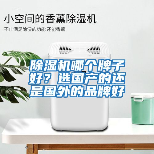 除濕機哪個(gè)牌子好？選國產(chǎn)的還是國外的品牌好