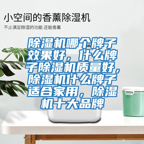 除濕機哪個(gè)牌子效果好，什么牌子除濕機質(zhì)量好，除濕機什么牌子適合家用，除濕機十大品牌
