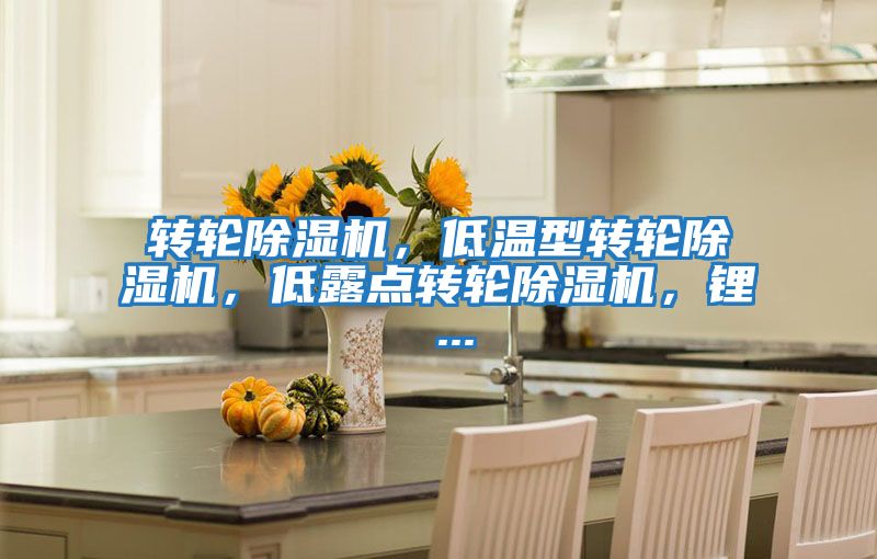 轉輪除濕機，低溫型轉輪除濕機，低露點(diǎn)轉輪除濕機，鋰 ...