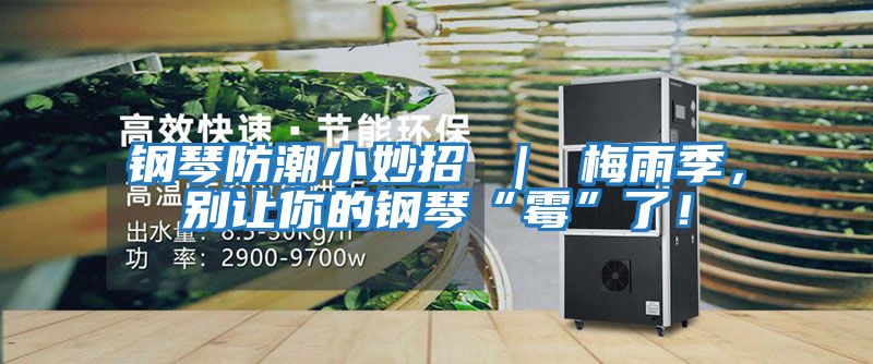 鋼琴防潮小妙招 ｜ 梅雨季，別讓你的鋼琴“霉”了！