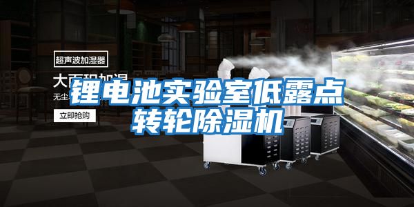 鋰電池實(shí)驗室低露點(diǎn)轉輪除濕機
