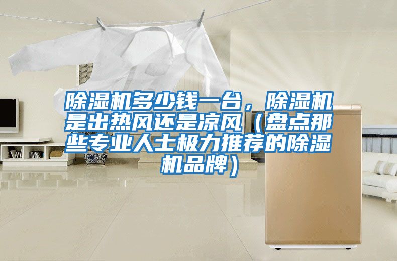 除濕機多少錢(qián)一臺，除濕機是出熱風(fēng)還是涼風(fēng)（盤(pán)點(diǎn)那些專(zhuān)業(yè)人士極力推薦的除濕機品牌）