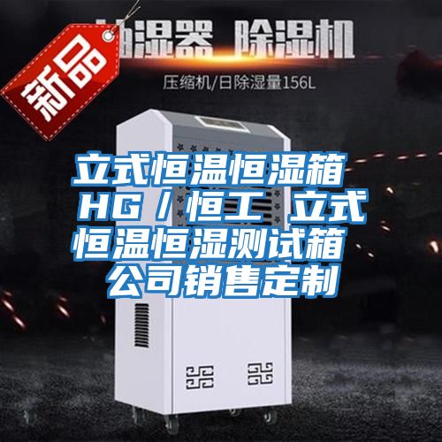 立式恒溫恒濕箱 HG/恒工 立式恒溫恒濕測試箱 公司銷(xiāo)售定制