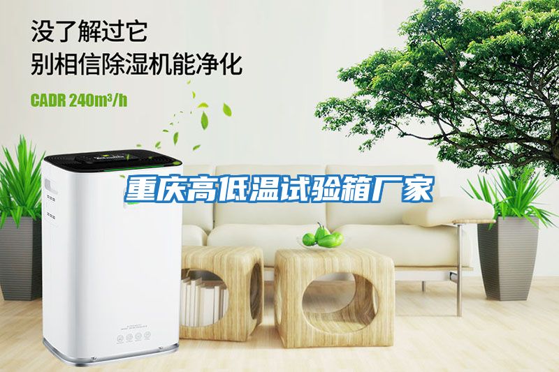 重慶高低溫試驗箱廠(chǎng)家