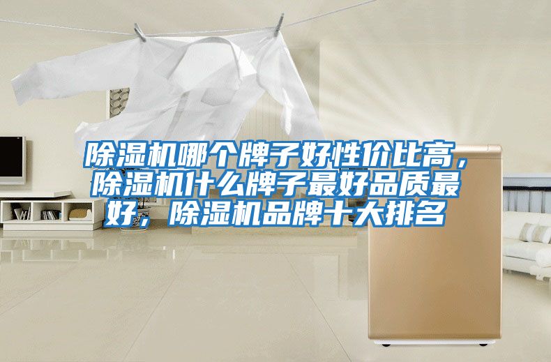 除濕機哪個(gè)牌子好性?xún)r(jià)比高，除濕機什么牌子最好品質(zhì)最好，除濕機品牌十大排名