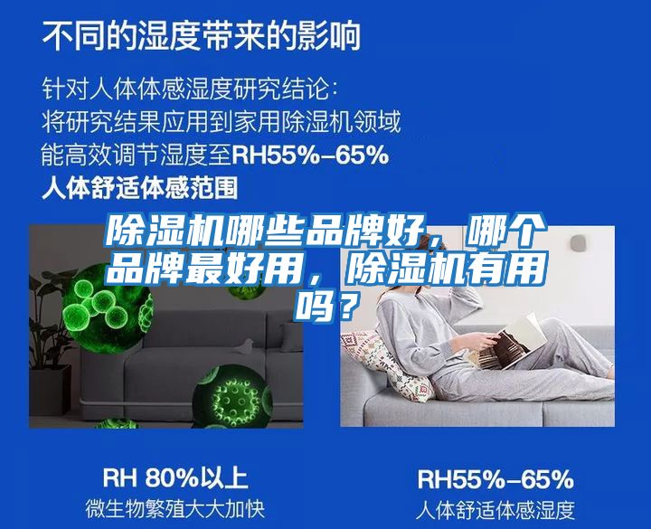 除濕機哪些品牌好，哪個(gè)品牌最好用，除濕機有用嗎？