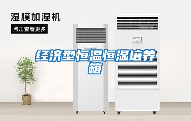 經(jīng)濟型恒溫恒濕培養箱