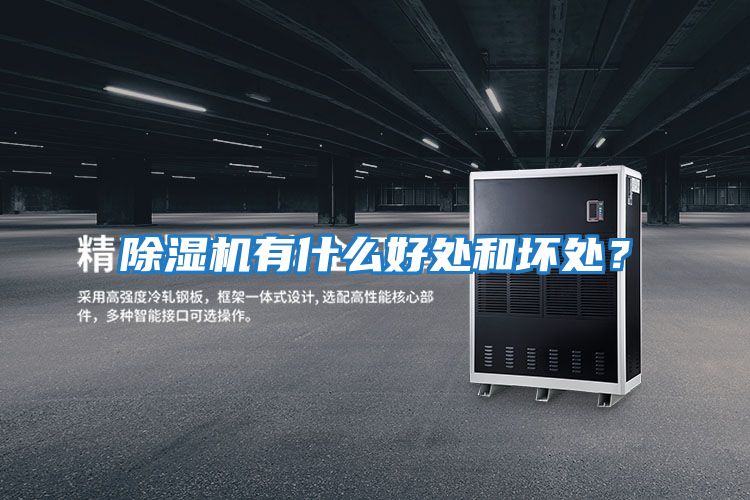 除濕機有什么好處和壞處？