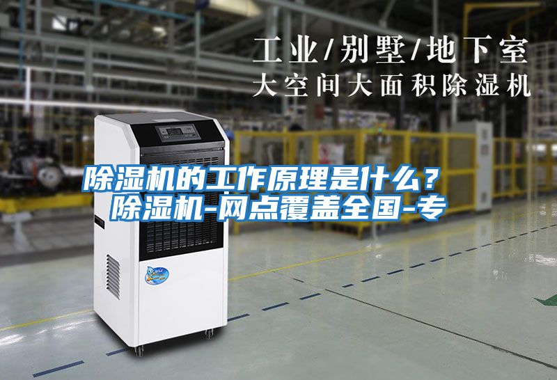 除濕機的工作原理是什么？ 除濕機-網(wǎng)點(diǎn)覆蓋全國-專(zhuān)