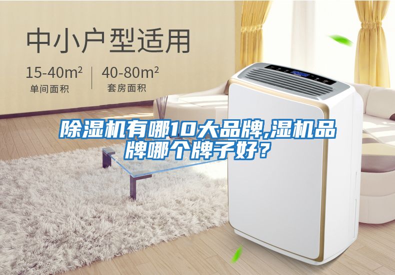 除濕機有哪10大品牌,濕機品牌哪個(gè)牌子好？