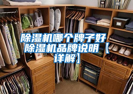除濕機哪個(gè)牌子好 除濕機品牌說(shuō)明【詳解】
