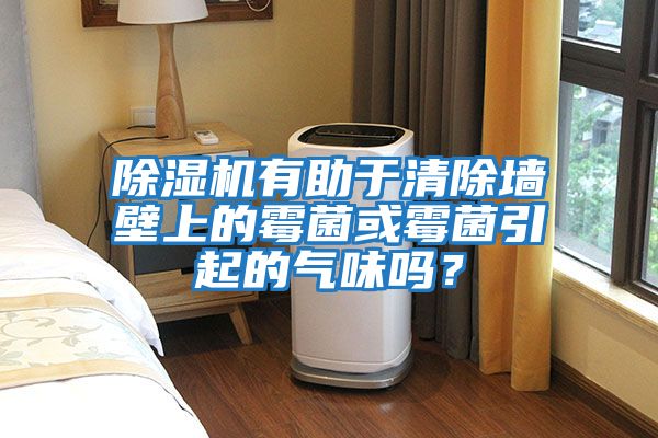 除濕機有助于清除墻壁上的霉菌或霉菌引起的氣味嗎？
