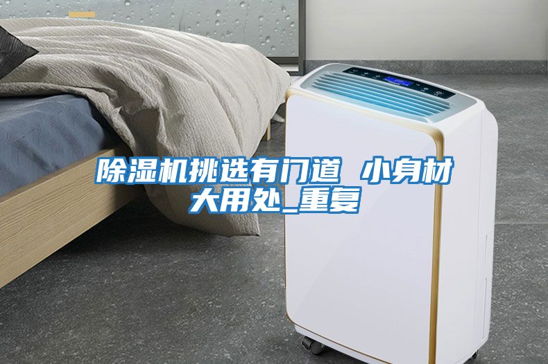 除濕機挑選有門(mén)道 小身材大用處_重復