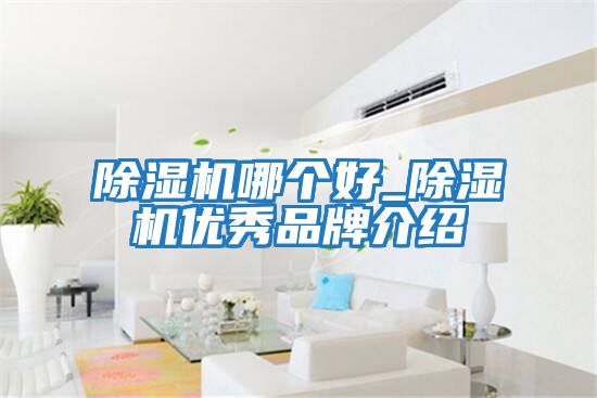 除濕機哪個(gè)好_除濕機優(yōu)秀品牌介紹