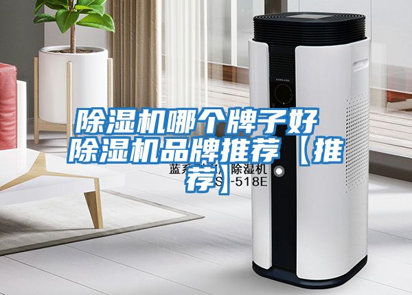 除濕機哪個(gè)牌子好 除濕機品牌推薦【推薦】