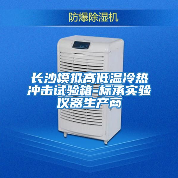 長(cháng)沙模擬高低溫冷熱沖擊試驗箱-標承實(shí)驗儀器生產(chǎn)商
