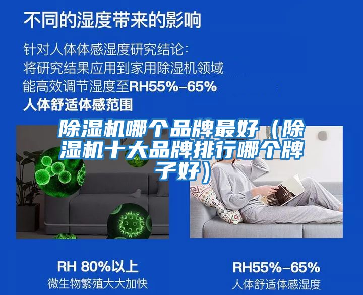 除濕機哪個(gè)品牌最好(除濕機十大品牌排行哪個(gè)牌子好)