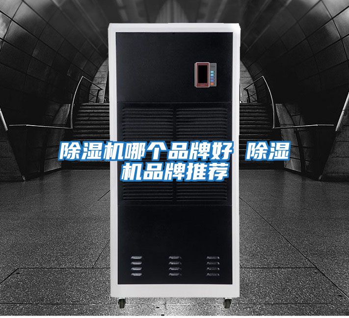 除濕機哪個(gè)品牌好 除濕機品牌推薦