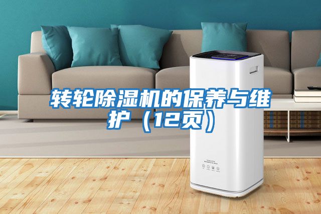 轉輪除濕機的保養與維護（12頁(yè)）