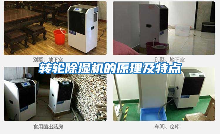 轉輪除濕機的原理及特點(diǎn)