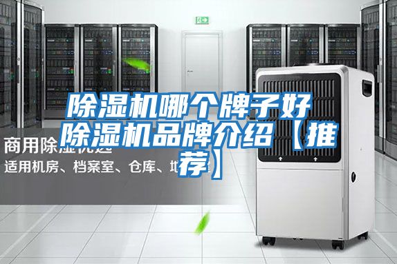 除濕機哪個(gè)牌子好 除濕機品牌介紹【推薦】
