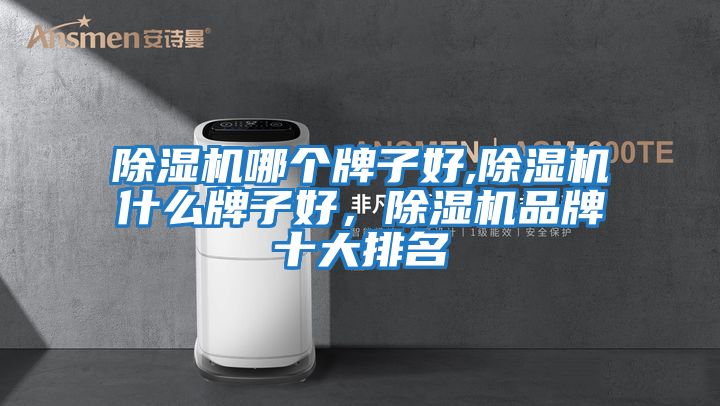 除濕機哪個(gè)牌子好,除濕機什么牌子好，除濕機品牌十大排名