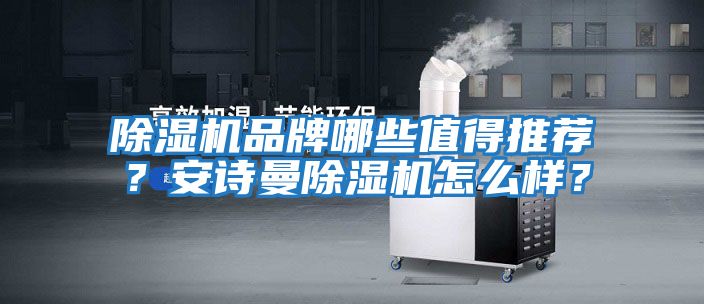 除濕機品牌哪些值得推薦？安詩(shī)曼除濕機怎么樣？