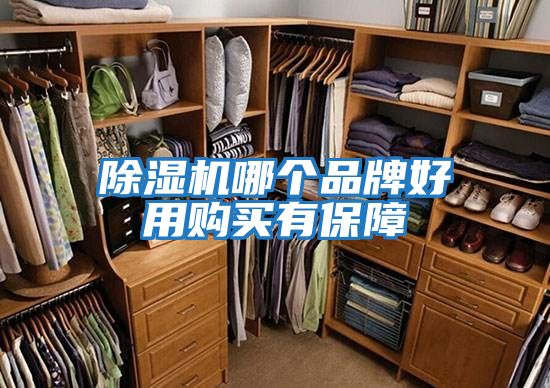 除濕機哪個(gè)品牌好用購買(mǎi)有保障