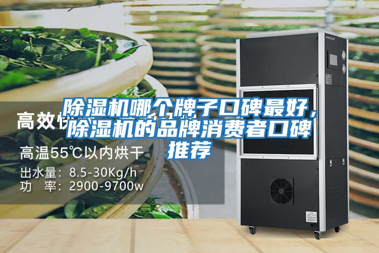 除濕機哪個(gè)牌子口碑最好，除濕機的品牌消費者口碑推薦
