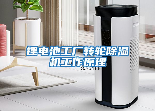鋰電池工廠(chǎng)轉輪除濕機工作原理