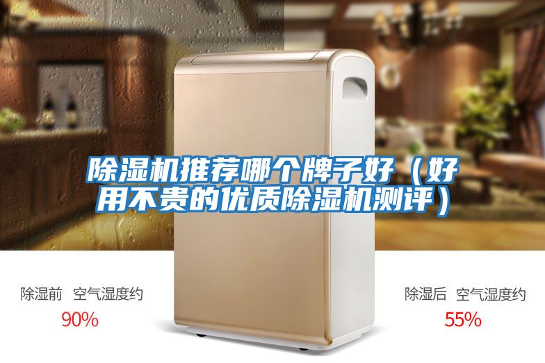 除濕機推薦哪個(gè)牌子好（好用不貴的優(yōu)質(zhì)除濕機測評）