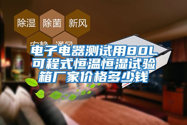 電子電器測試用80L可程式恒溫恒濕試驗箱廠(chǎng)家價(jià)格多少錢(qián)