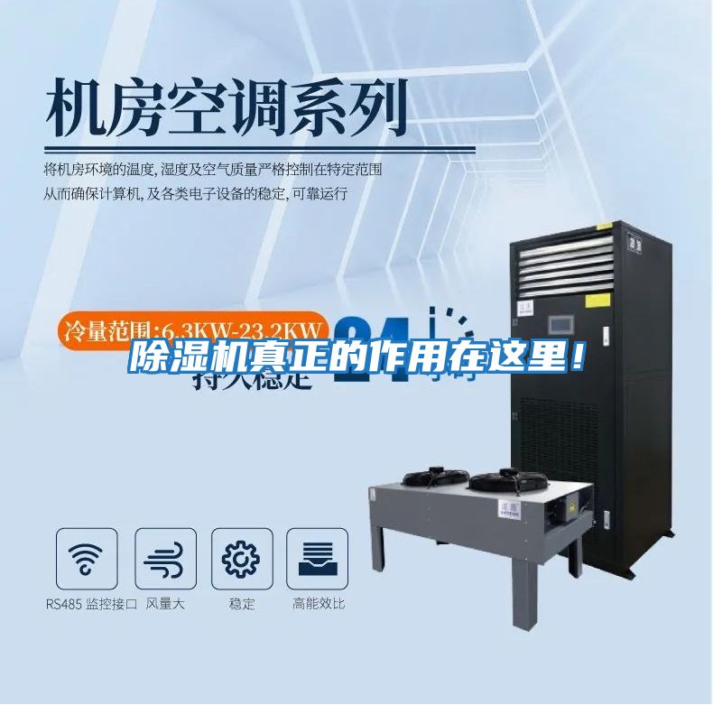 除濕機真正的作用在這里！