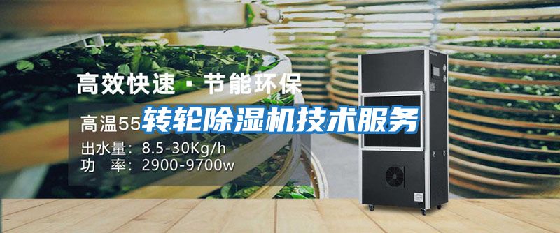 轉輪除濕機技術(shù)服務(wù)