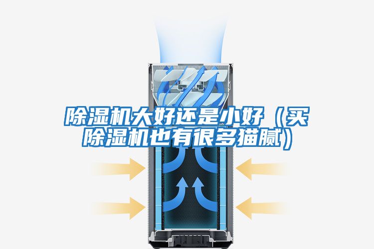 除濕機大好還是小好（買(mǎi)除濕機也有很多貓膩）