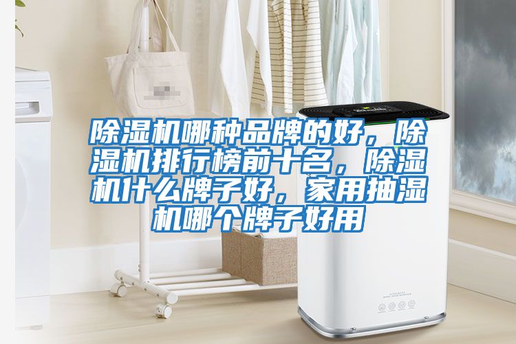 除濕機哪種品牌的好，除濕機排行榜前十名，除濕機什么牌子好，家用抽濕機哪個(gè)牌子好用