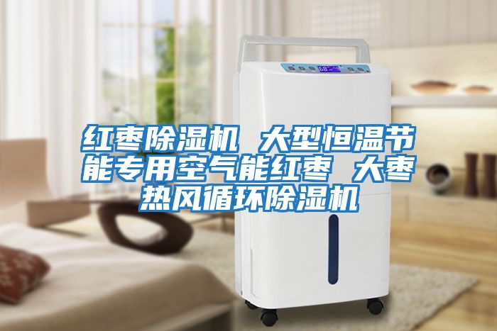 紅棗除濕機 大型恒溫節能專(zhuān)用空氣能紅棗 大棗熱風(fēng)循環(huán)除濕機