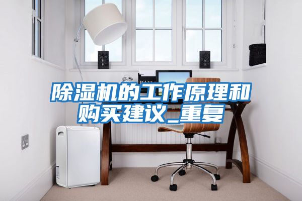 除濕機的工作原理和購買(mǎi)建議_重復