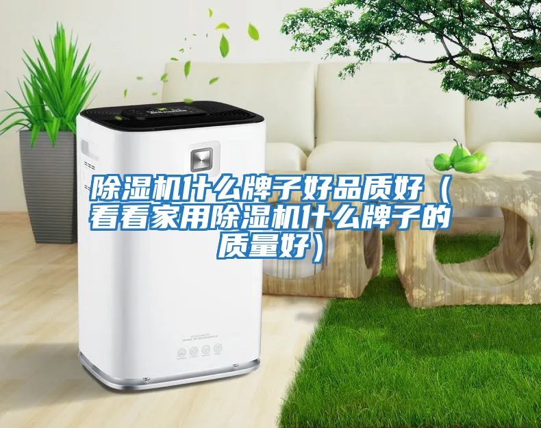 除濕機什么牌子好品質(zhì)好(看看家用除濕機什么牌子的質(zhì)量好)