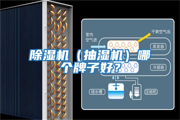 除濕機（抽濕機）哪個(gè)牌子好？