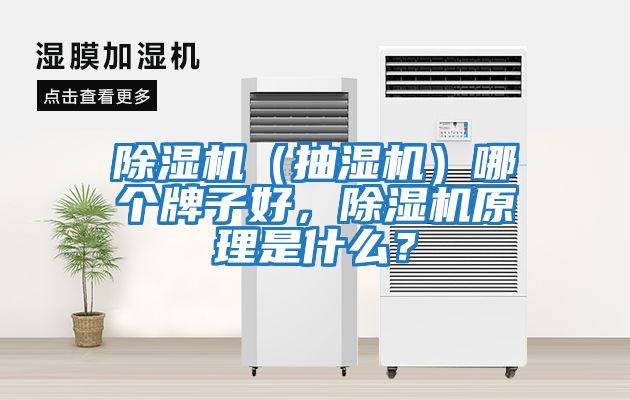 除濕機（抽濕機）哪個(gè)牌子好，除濕機原理是什么？