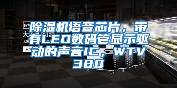 除濕機語(yǔ)音芯片，帶有LED數碼管顯示驅動(dòng)的聲音IC，WTV380