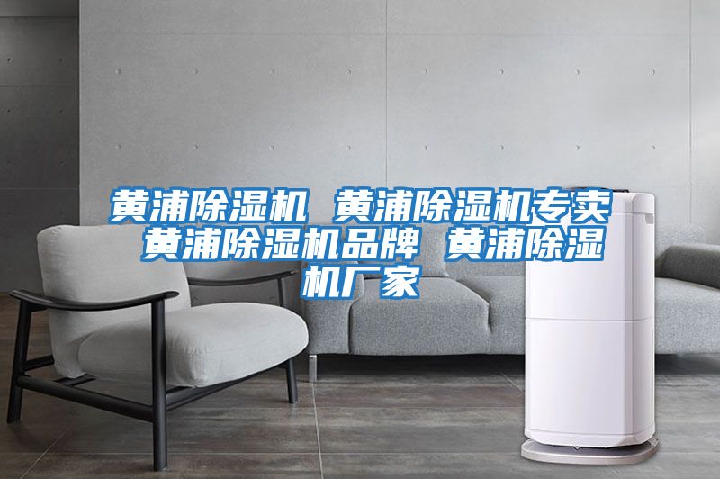黃浦除濕機 黃浦除濕機專(zhuān)賣(mài) 黃浦除濕機品牌 黃浦除濕機廠(chǎng)家
