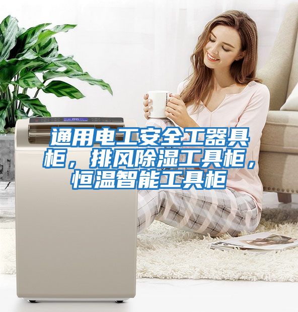 通用電工安全工器具柜，排風(fēng)除濕工具柜，恒溫智能工具柜